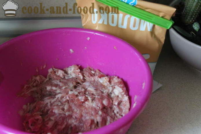 Boulettes de viande de porc aux champignons et sauce à la crème - comment préparer des boulettes de viande de viande hachée et les champignons, une étape par étape des photos de recettes