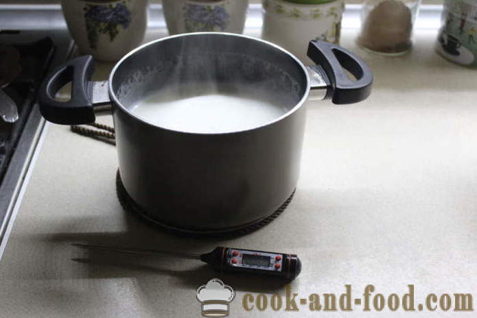 Yaourt maison du lait à fermenter - comment faire du yaourt à la maison, étape par étape les photos de recettes