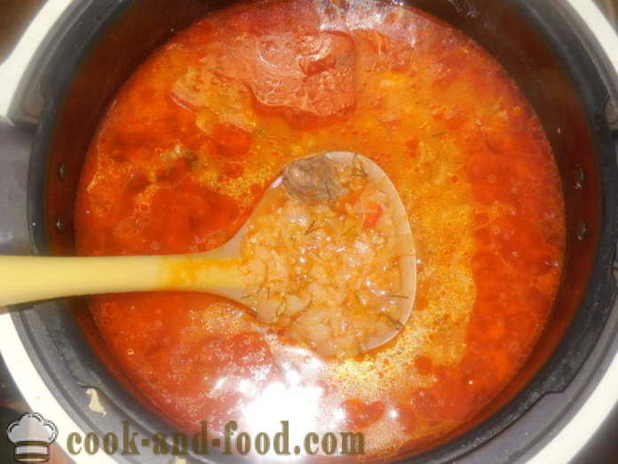 Kapustnyak délicieux avec du chou frais et le millet - kapustnyak comment faire cuire du chou frais dans une cocotte-minute, une étape par étape des photos de recettes