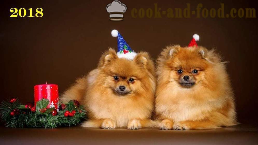 Gratuit chiens Fond d'écran de Noël 2018, des chiens et chiots - Fonds d'écran de téléchargement sur votre bureau gratuitement
