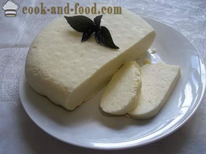Fromage au fromage de la maison du lait - comment faire du fromage à la maison, étape par étape les photos de recettes