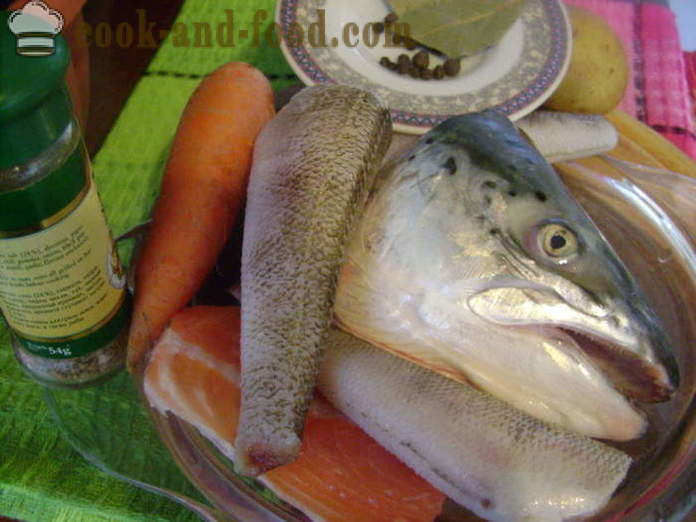 L'oreille de la tête du poisson et d'autres poissons différents - comment faire cuire la soupe de têtes de poisson, étape par étape des photos de recettes