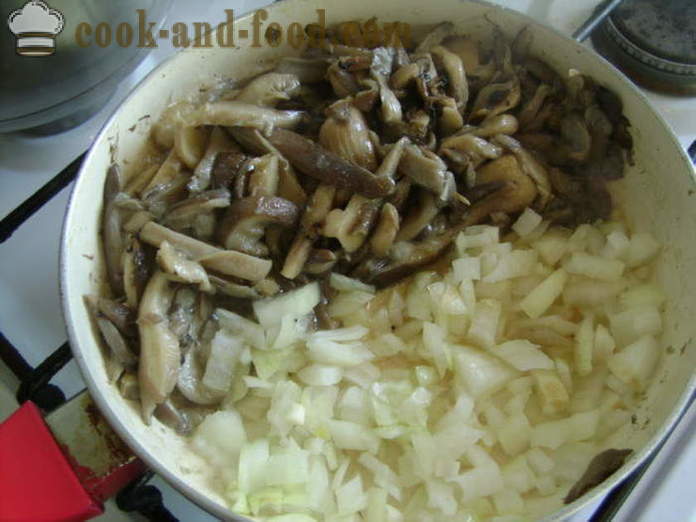 Meatless rouleaux de chou paresseux dans le four - comment faire cuire un délicieux rouleaux de chou paresseux au four, avec une étape par étape des photos de recettes