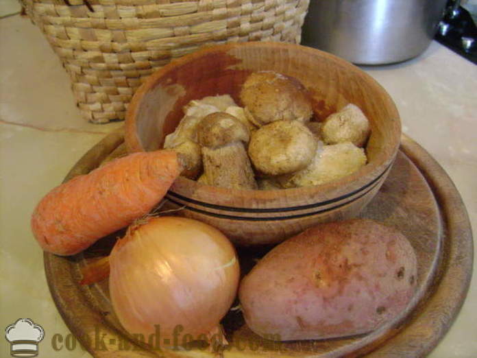 Délicieuse soupe aux champignons des champignons blancs surgelés - comment faire cuire la soupe aux champignons blancs congelés, une étape par étape des photos de recettes