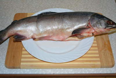 Le saumon rose salé comme le saumon atlantique - cornichon à la fois délicieux saumon rose à la maison, étape par étape les photos de recettes
