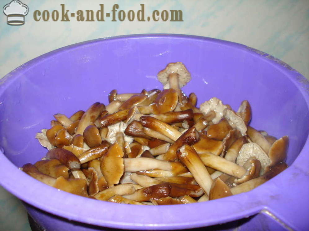 Blanc de champignons - comment faire cuire blanc de champignons de champignons cuits, étape par étape des photos de recettes