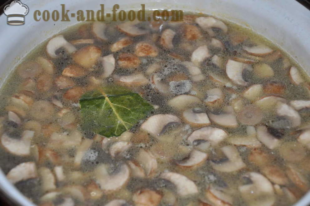 Délicieuse soupe aux champignons avec des champignons - comment faire cuire la soupe aux champignons avec des champignons, une étape par étape des photos de recettes
