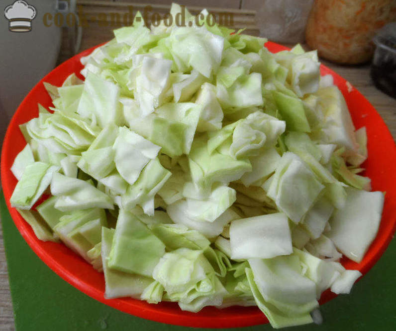 Bigus avec du chou, la viande et les champignons - comment faire cuire correctement Bigus, étape par étape des photos de recettes