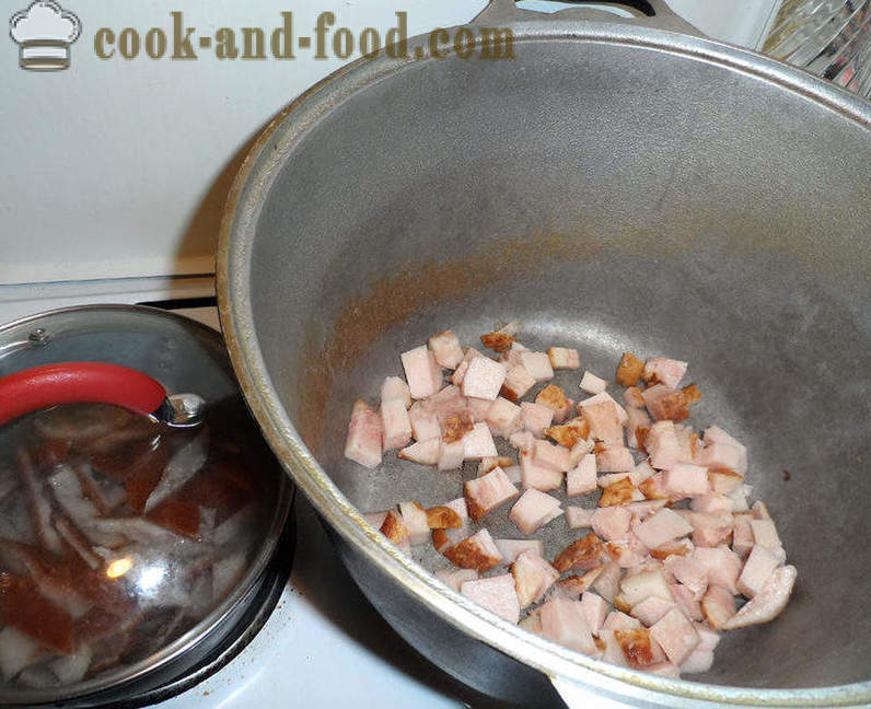 Bigus avec du chou, la viande et les champignons - comment faire cuire correctement Bigus, étape par étape des photos de recettes