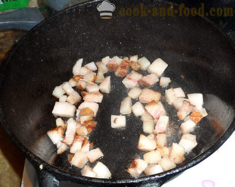 Bigus avec du chou, la viande et les champignons - comment faire cuire correctement Bigus, étape par étape des photos de recettes