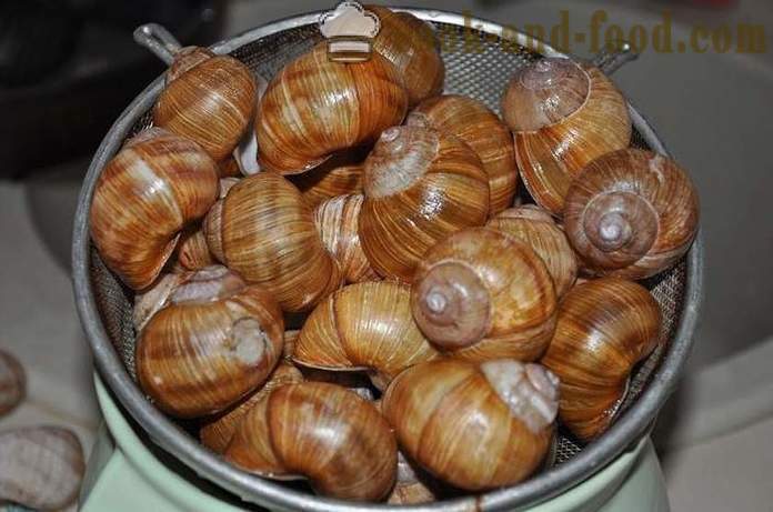 Préparation des escargots à la maison - comment préparer les escargots délicieuse recette avec une photo