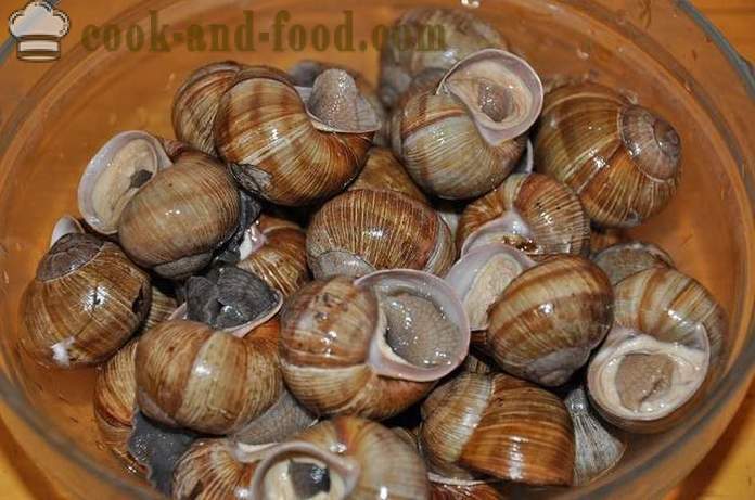 Préparation des escargots à la maison - comment préparer les escargots délicieuse recette avec une photo