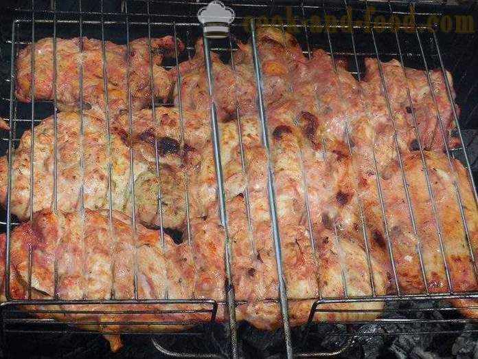 Poulet barbecue sur le gril - délicieuses brochettes et succulentes de poulet à la sauce tomate - une étape par étape des photos de recettes