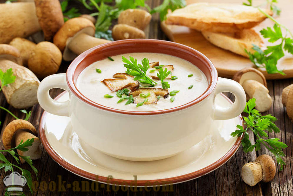 Blanc soupe aux champignons: deux recettes de plats délicieux