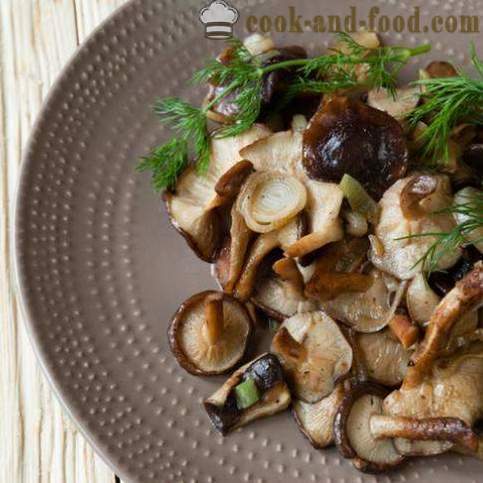 Comment faire frire dans un délicieux champignons pan - recettes vidéo à la maison